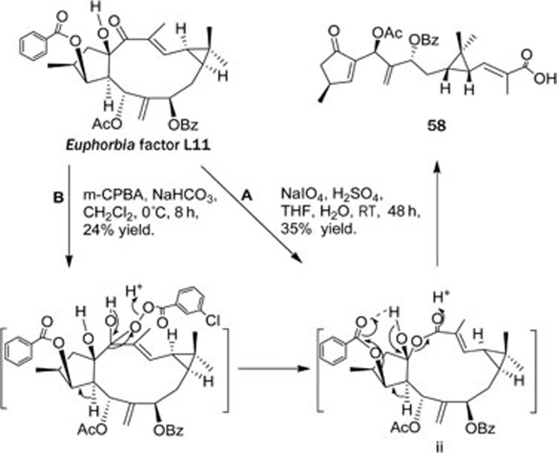 Scheme 1