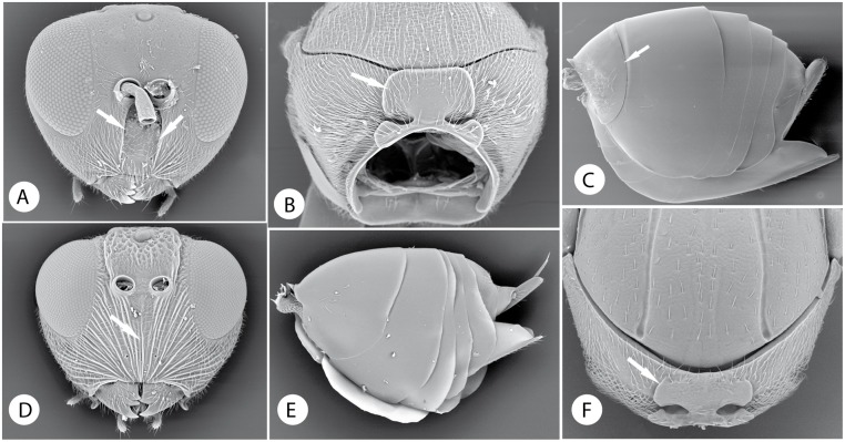 Fig 14