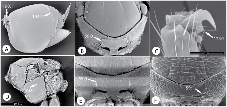 Fig 15