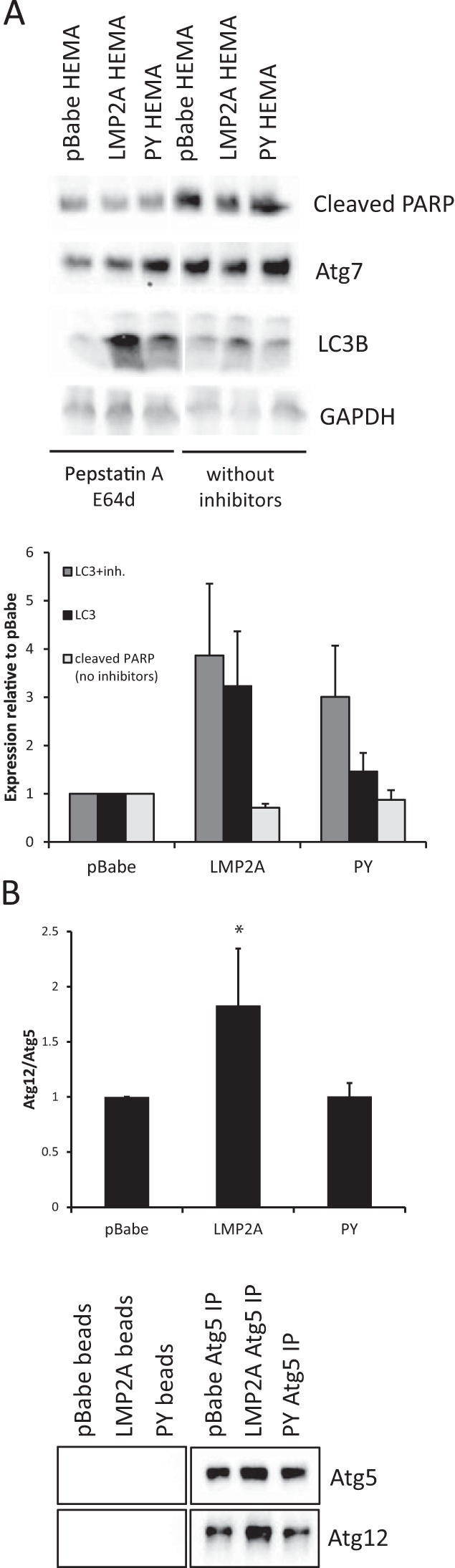 FIG 4