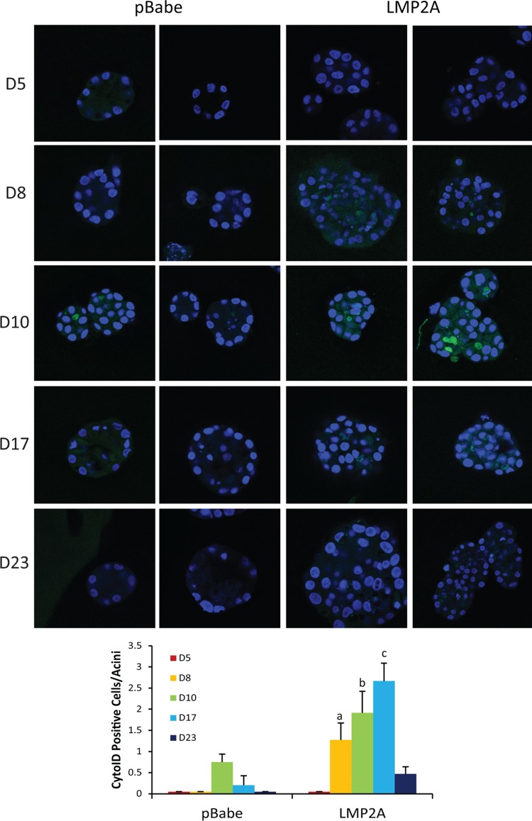 FIG 2