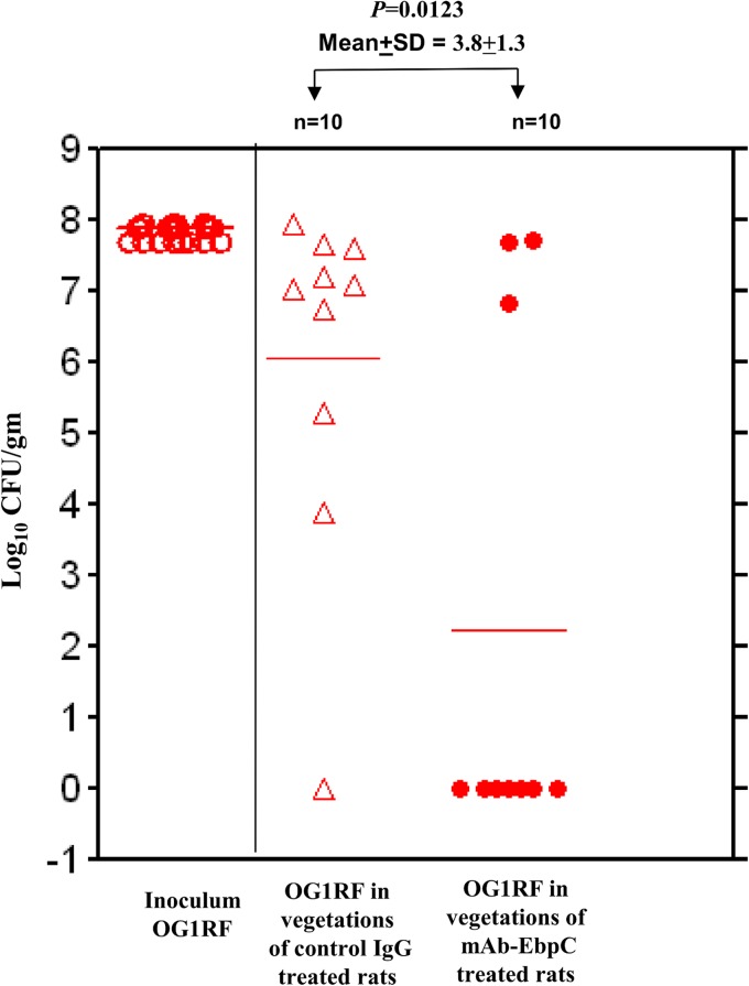 FIG 3