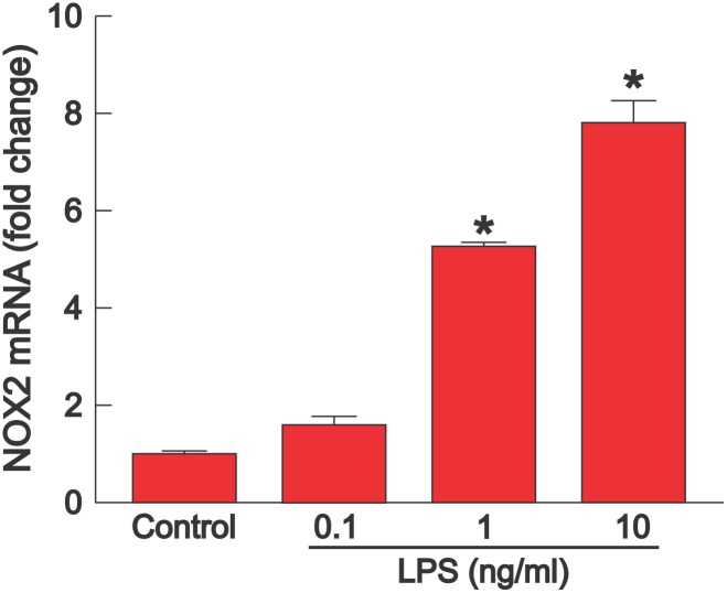 Figure 6