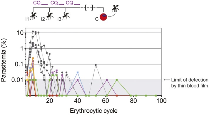 Figure 4—figure supplement 1.