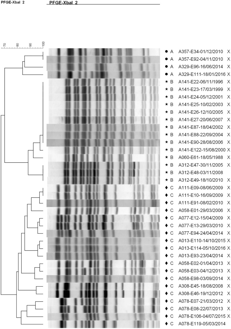 FIGURE 2