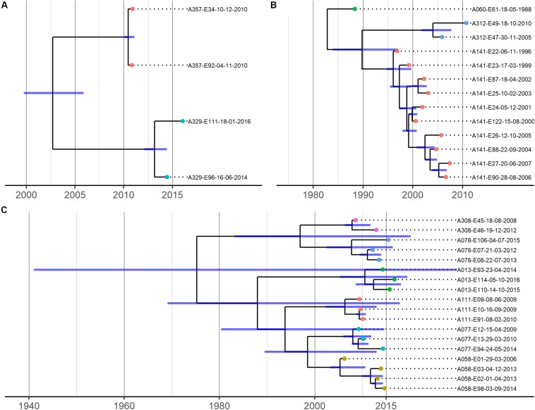 FIGURE 3