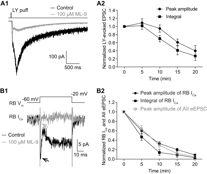 Figure 7.