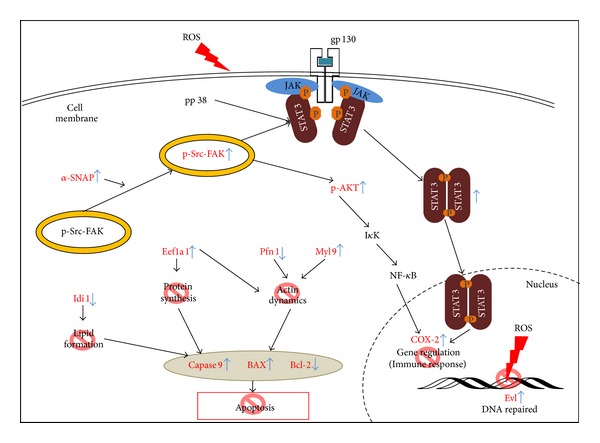 Figure 10