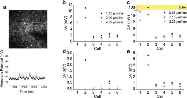 Figure 5.