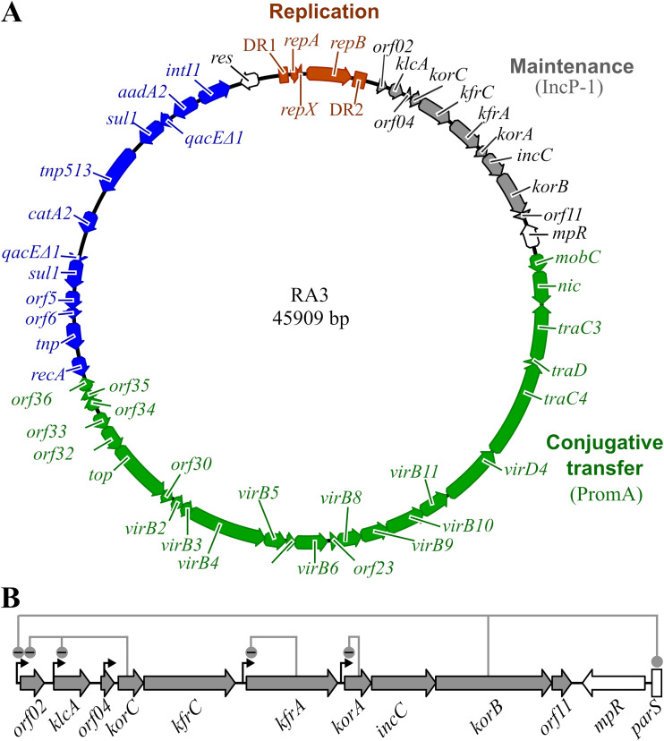 FIG 1