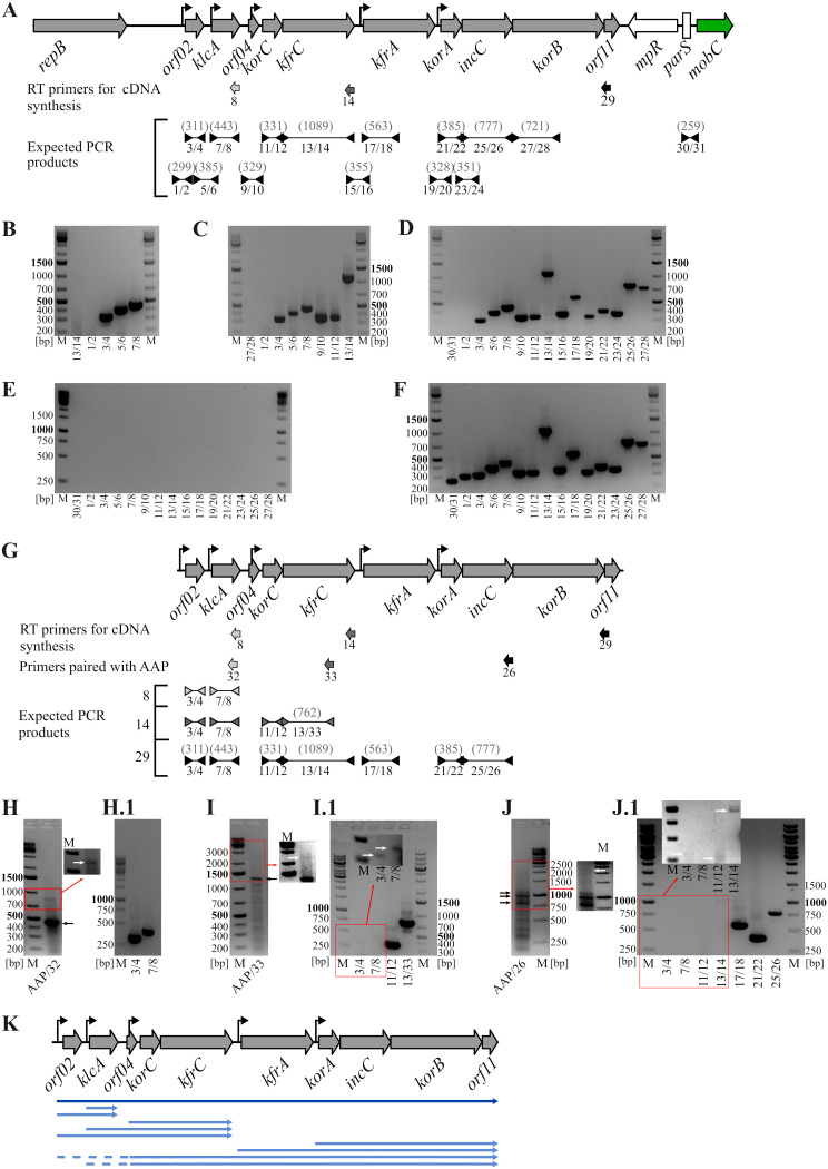 FIG 2