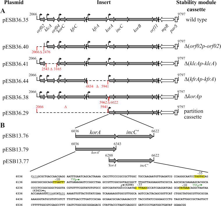 FIG 4