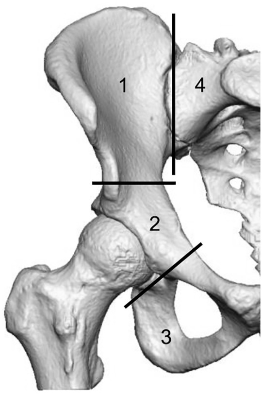 Figure 1.