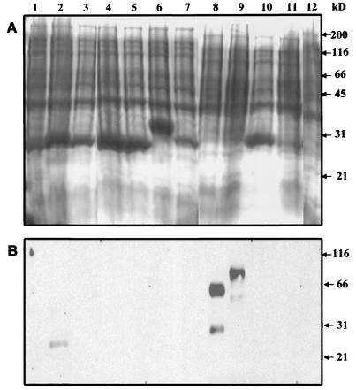 FIG. 6.