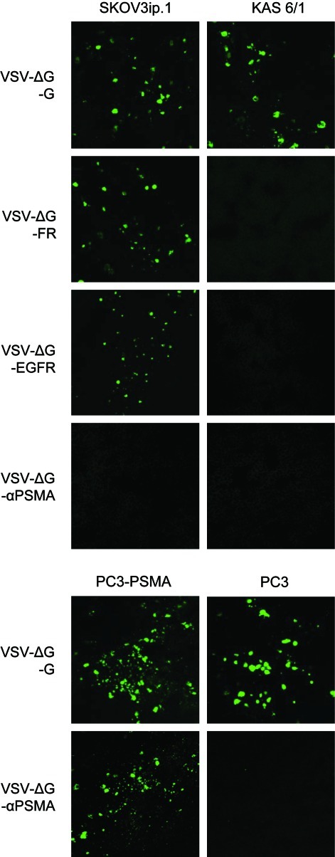 FIG. 6.