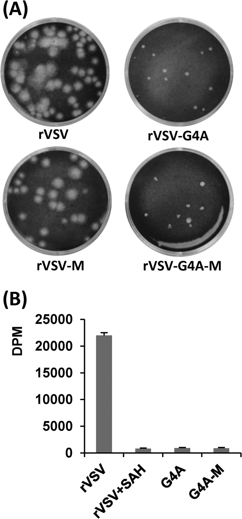 FIG 5