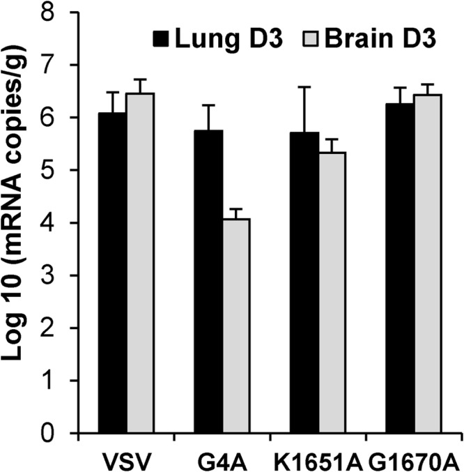 FIG 6