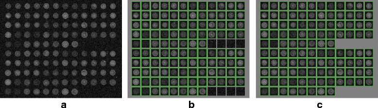Fig. 13