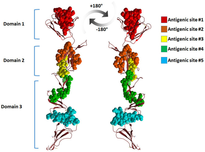 Figure 5