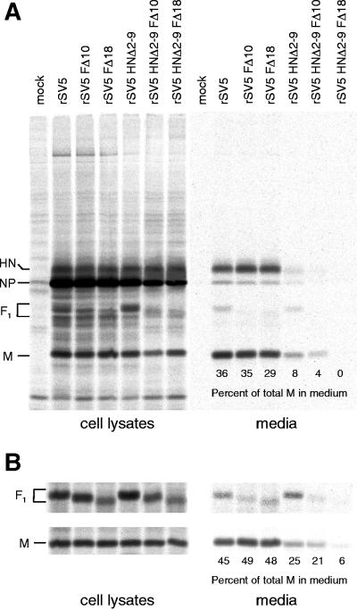 FIG. 9.