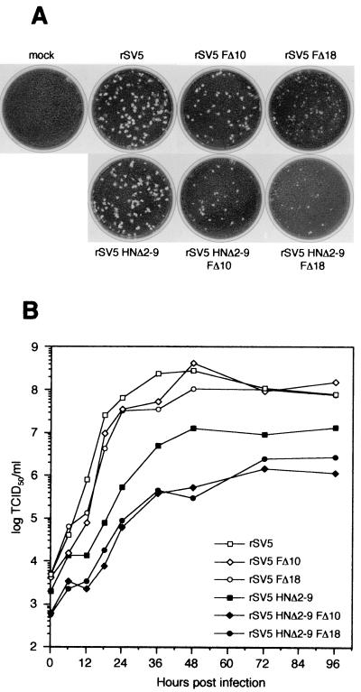 FIG. 7.