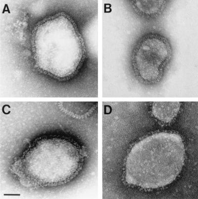 FIG. 10.