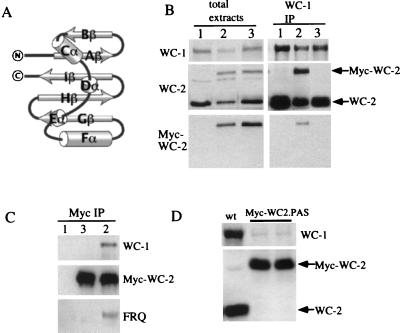 FIG. 4.