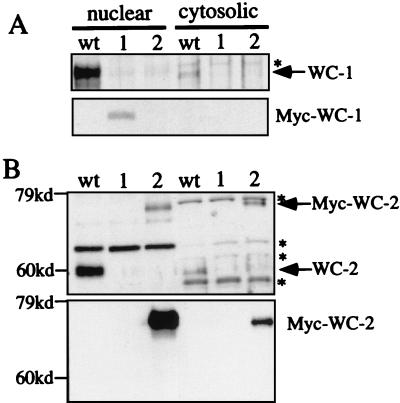 FIG. 5.