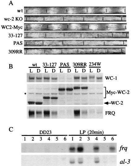 FIG. 6.