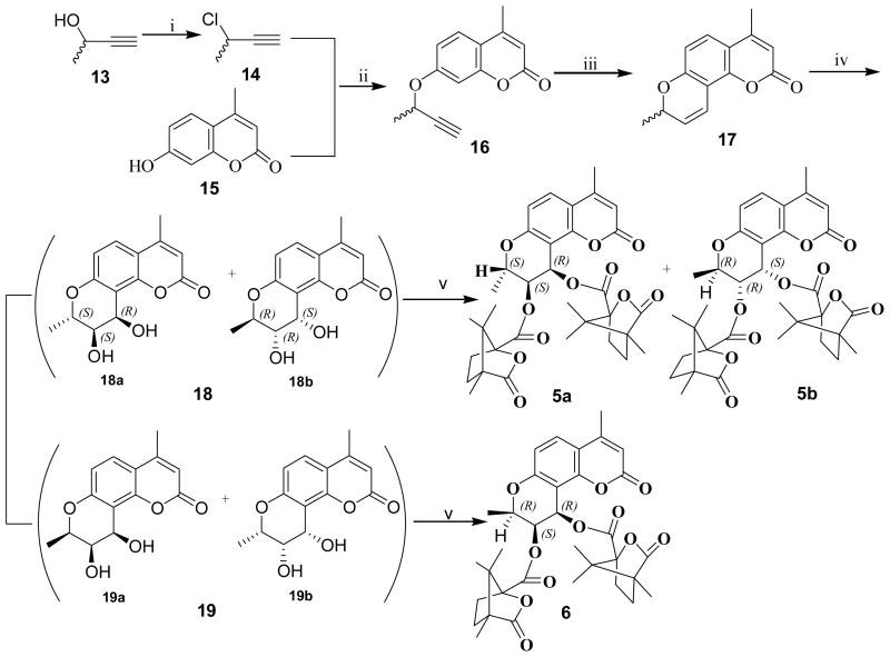 Scheme 1