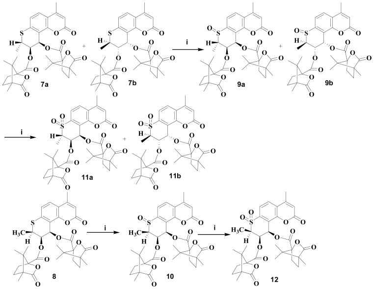 Scheme 3