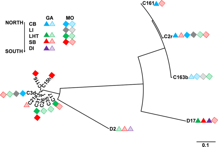 Figure 6