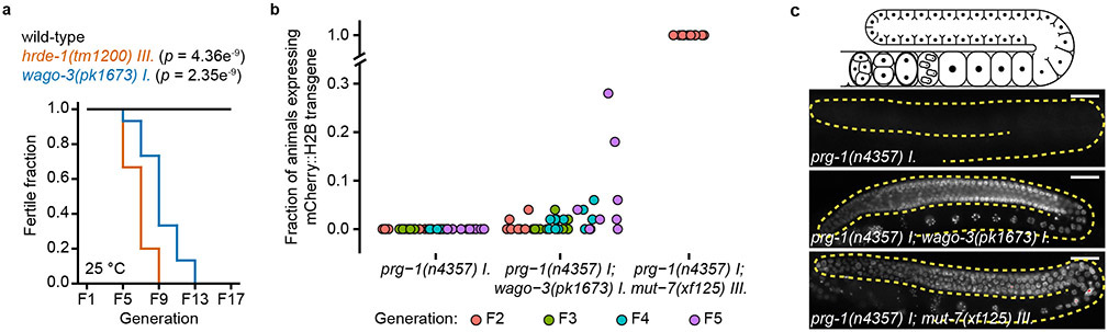 Extended Data Fig. 1