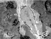 Fig 10