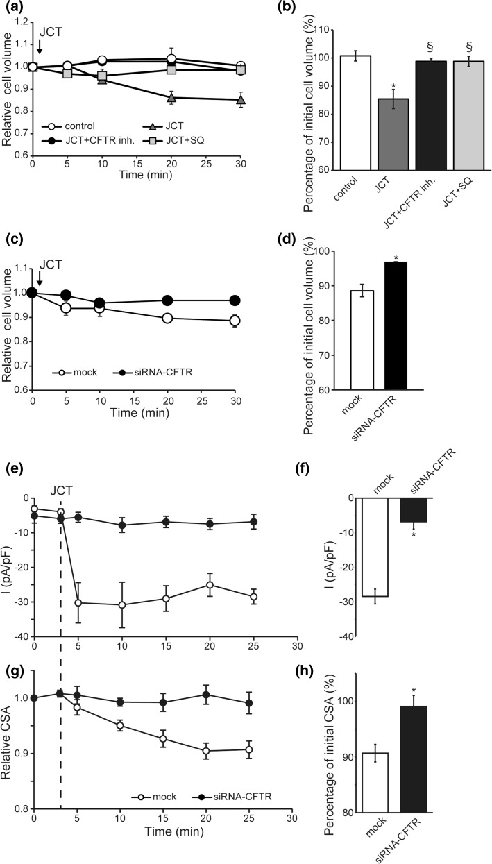 Fig. 6