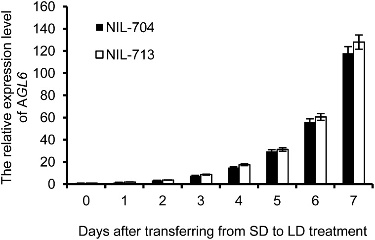 Figure 7.