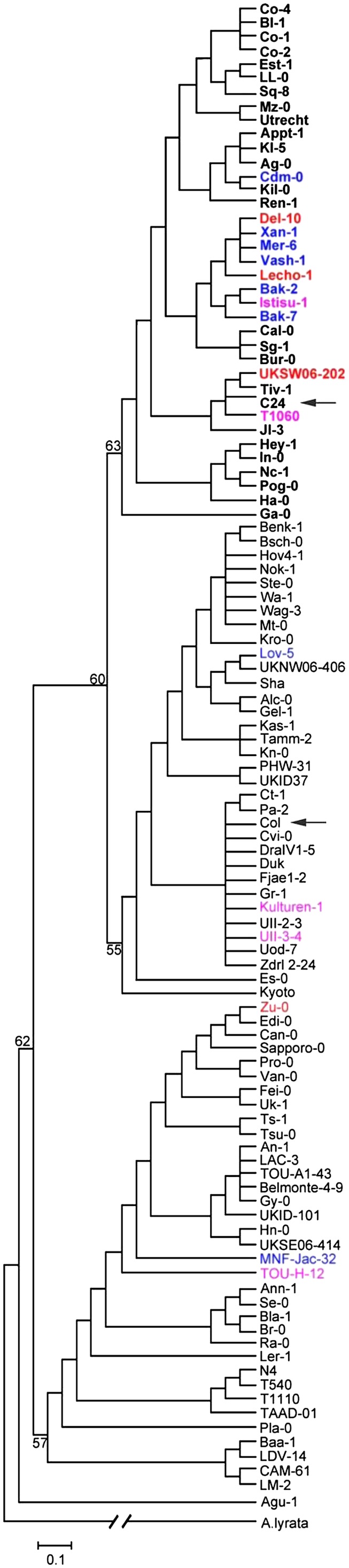 Figure 9.