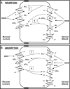 Fig. 7.