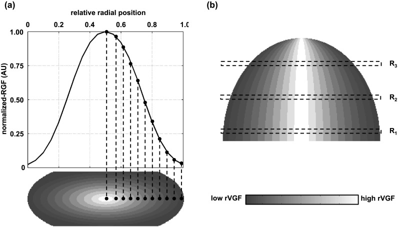 FIG. 2.