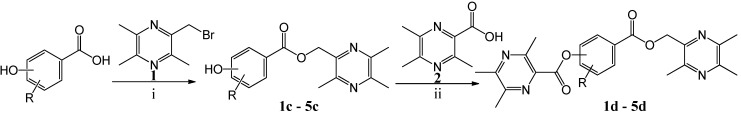 Scheme 2