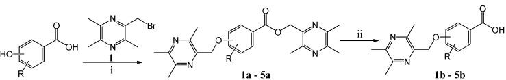 Scheme 1