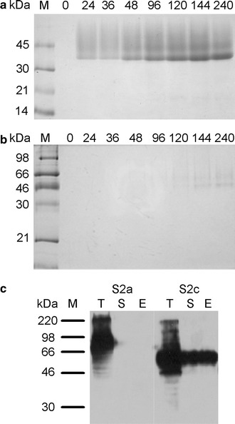 Fig. 4