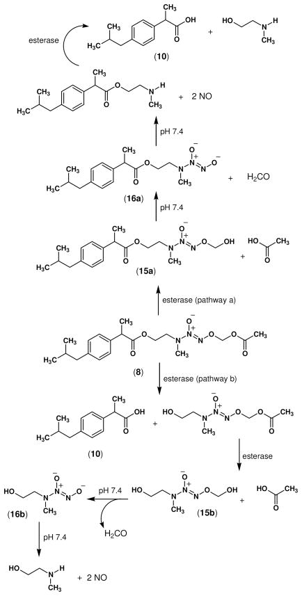 Scheme 3