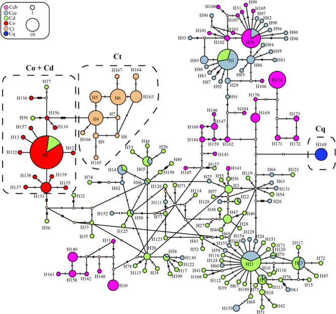 FIGURE 2