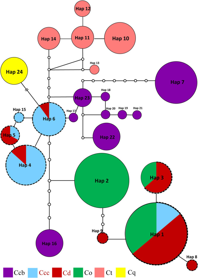 FIGURE 4