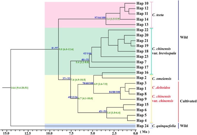 FIGURE 3