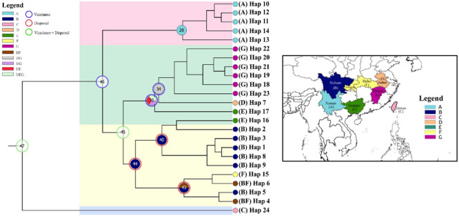 FIGURE 7