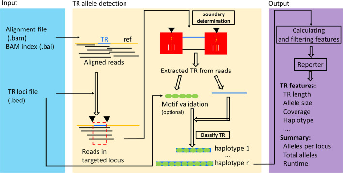 FIGURE 1