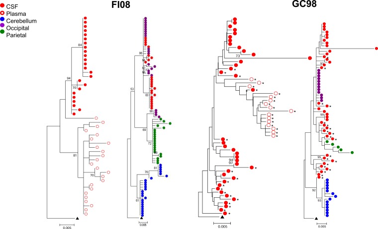 FIG 5