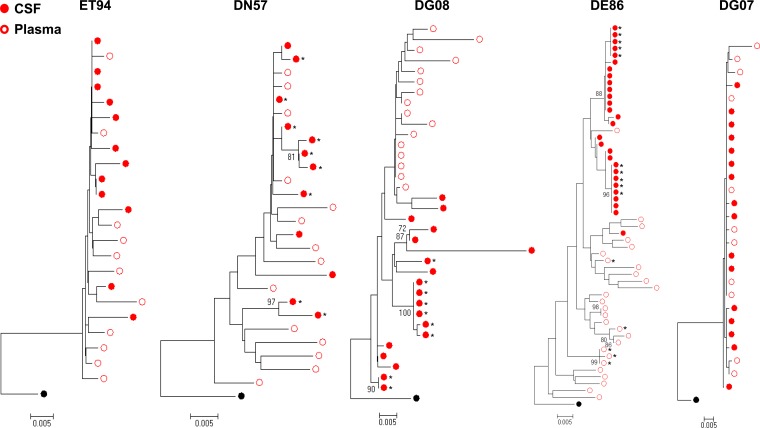 FIG 2